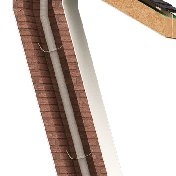 Image d'ambiance - Araignée d60 pe