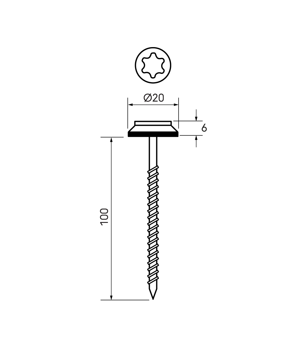 Schéma technique - Vis inox L100