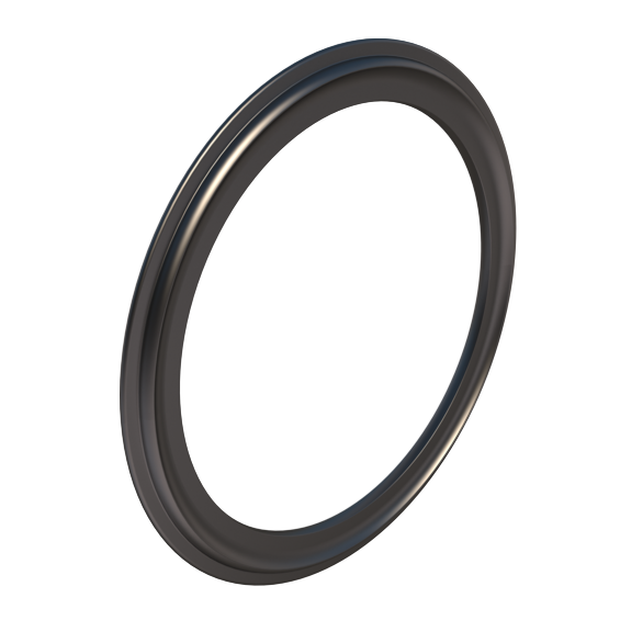 188.366-AE48c-SealRing