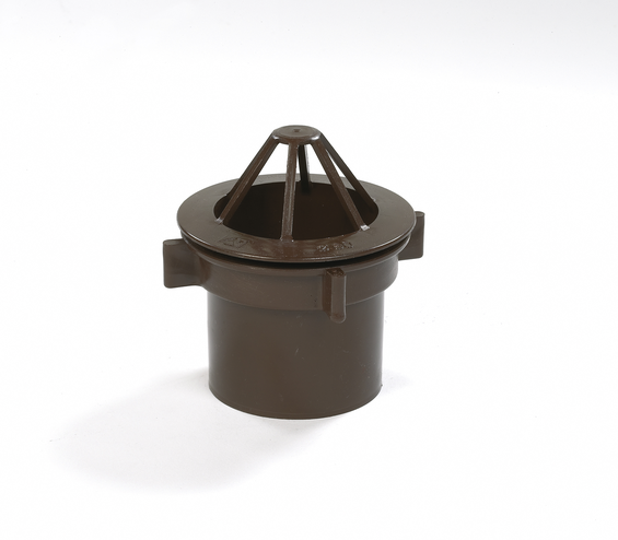 UITLOOP BRUIN